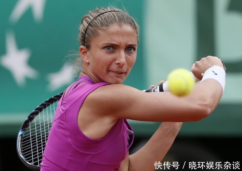 整个联盟 整个联盟